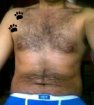 Gay bear nation network member