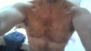 Gay bear nation social network member